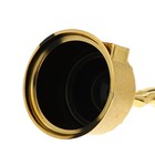 Мужская фигура наградная на Выпускной «Выпускник», пластик, высота 18.5 см - Фото 6