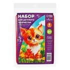 Набор трафарет - раскраска Calligrata, 6 шт.: овощи, домашние животные, цветы, бабочки, лесные звери, фрукты, для девочек - Фото 13