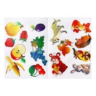 Трафарет - раскраска Calligrata, набор, 6 штук, для девочек - Фото 22