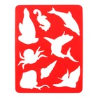 Набор трафарет - раскраска Calligrata, 6 шт.: овощи, домашние животные, цветы, бабочки, лесные звери, фрукты, для девочек - Фото 4