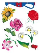 Трафарет - раскраска Calligrata, набор, 6 штук, для девочек - Фото 9