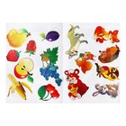 Набор трафарет - раскраска Calligrata, 6 шт.: овощи, домашние животные, цветы, бабочки, лесные звери, фрукты, для девочек - Фото 10