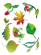 Трафарет - раскраска Calligrata, набор, 6 штук, для мальчиков - Фото 12