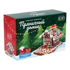 Набор для творчества новогодний «Пряничный домик», 1200 г - Фото 2