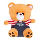 Мягкая игрушка «Медведь» в штанах и полосатой кофте, 20 см, МИКС - Фото 4