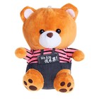 Мягкая игрушка «Медведь» в штанах и полосатой кофте, 20 см, МИКС - Фото 5