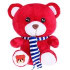 Мягкая игрушка «Медведь с шарфом», цвета МИКС - Фото 4