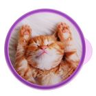 Ланч - бокс круглый «Котёнок», 500 мл - Фото 3