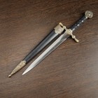 Макет оружия «Сувенирный кортик на ножнах. Голова льва», 35 см - Фото 3