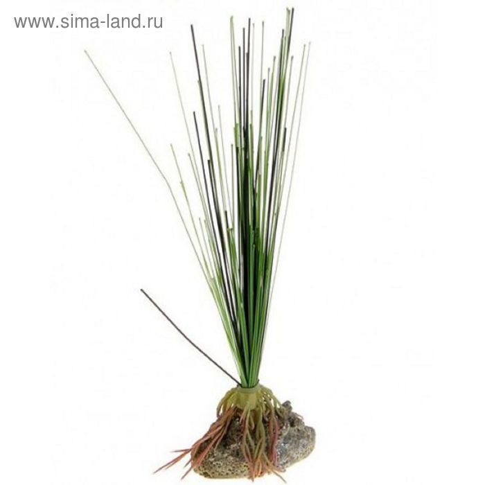 Растение шелковое Аир 35см, TetraDecoArt Plantastic® - Фото 1
