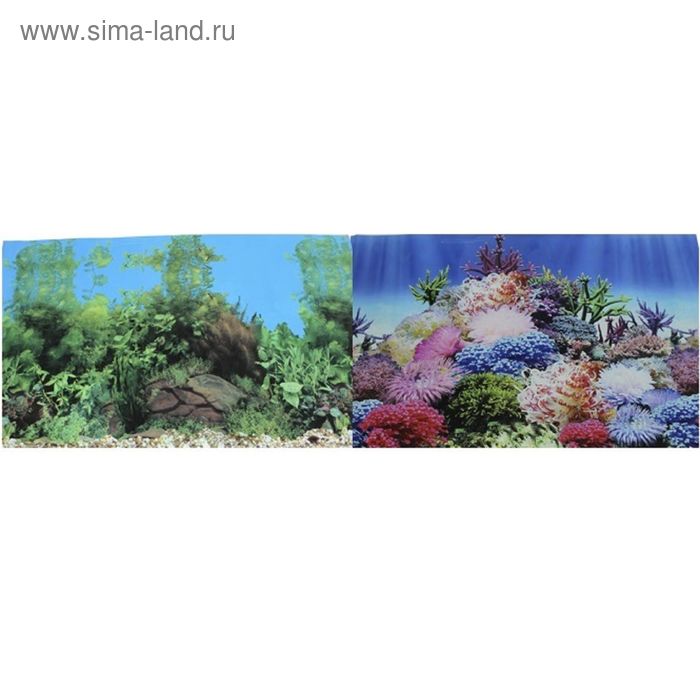 Фон для аквариума двухсторонний Коралловый рай/Подводный пейзаж 60х150см (9099/9031) - Фото 1