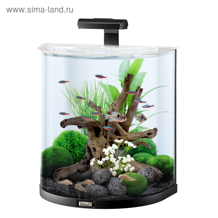 Аквариум дуговой Tetra AquaArt Explorer Line Tropical 60л, антрацит - Фото 1
