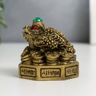Нэцкэ фигурка «Жаба на Ба-гуа», полистоун, под бронзу, 5.8×5.8×6.6 см - Фото 5
