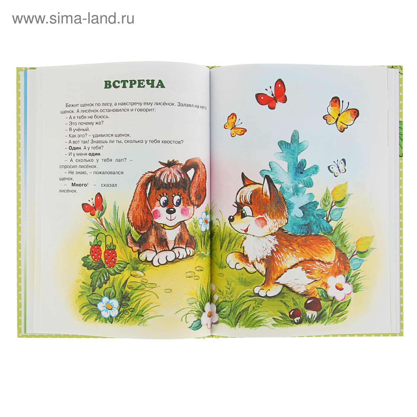 Маленький Большой Купить Книгу