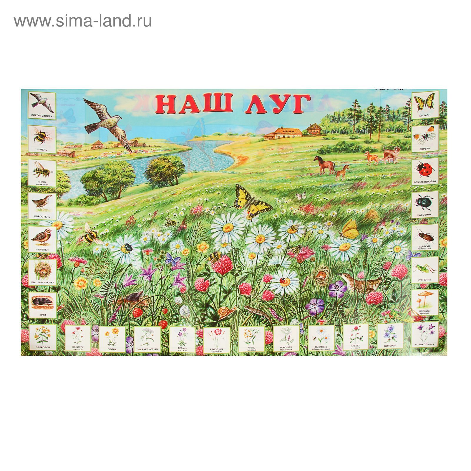 План - конспект урока для 9 класса по теме: "Биоценоз. Видовая и пространственна