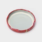 Крышка для консервирования «Элит», ТО-66 мм, жесть, винтовая, литография, фасовка 20 шт., МИКС - Фото 3