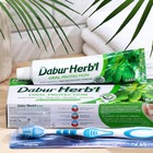 Набор Dabur Herb'l базилик: зубная паста, 150 г + зубная щётка - Фото 13