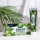 Набор Dabur Herb'l Olive зубная паста, 190 г + зубная щётка - фото 8512134