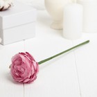 Искусственный цветок "Пион" розовый 26 см - Фото 1