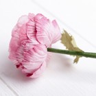 Искусственный цветок "Пион" розовый 26 см - Фото 3
