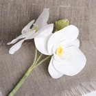 Искусственный цветок "Орхидея" 39 см - Фото 2