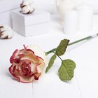 Искусственный цветок "Роза Леди" белая с розовым 43 см - Фото 1