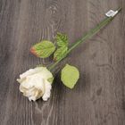 Искусственный цветок "Роза Леди" белая 43 см - Фото 4