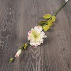 Искусственный цветок "Эустома" белая с розовым 82 см - Фото 4