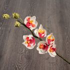 Искусственный цветок "Орхидея" 67 см - Фото 3