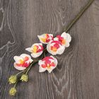 Искусственный цветок "Орхидея" 67 см - Фото 4