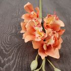 Искусственный цветок "Орхидея цимбидиум" пудра 105 см - Фото 2