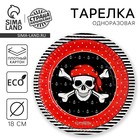 Тарелка одноразовая бумажная «Пиратская» (18 см), на Хэллоуин - Фото 1