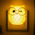 Ночник RISALUX «Совенок», 0.1 Вт, 220 В, сохраняет энергию, 7.5×7.5×3.7 см, МИКС - Фото 5