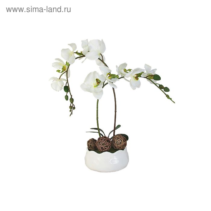 Декоративные цветы "Орхидея белая" на керамической подставке, 16х16х36 см - Фото 1