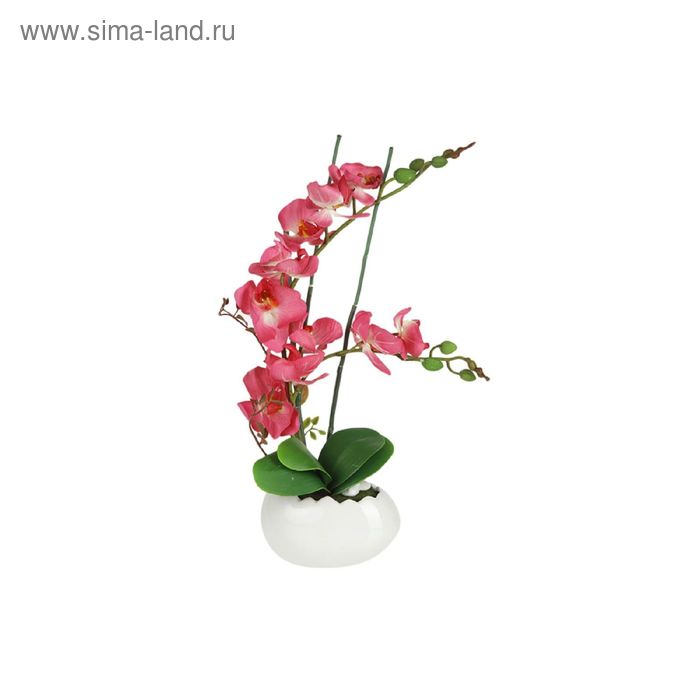 Декоративные цветы "Орхидея бордо" в керамической вазе, 17х11,5х51,5 см - Фото 1