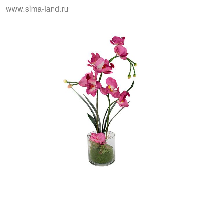 Декоративные цветы "Орхидея бордо" в стеклянной вазе, 34х12х50 см - Фото 1
