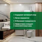 Средство для удаления плесени PROSEPT, с дезинфицирующим эффектом, Bath Fungy, концентрат, 5 л - Фото 4