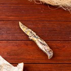 Нож перочинный "Орёл" лезвие 7,5 см, (фиксатор, кнопка) 17см МИКС - фото 5983391