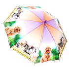 Зонт детский полуавтоматический «Милые зверюшки», r=41см, со свистком, цвет МИКС - фото 8302901