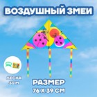 Воздушный змей «Божья коровка», с леской - фото 5983984