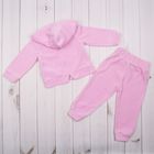 Комплект для девочки (джемпер, брюки), рост 68 см (44), цвет розовый - Фото 8