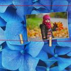 Картина для создания фотоколлажа "Голубые цветы"  40*60 см - Фото 3