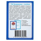 Логопедические карточки «Логопедка «Р» - Фото 2