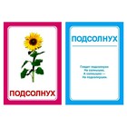 Логопедические карточки «Логопедка «Л» - Фото 3