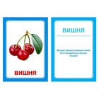 Логопедические карточки «Логопедка «Ш» - Фото 4