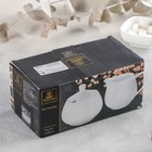 Набор сервировочный, 2 шт.: сахарница 210 мл, молочник 210 мл - Фото 3