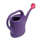 Лейка, 5 л, с рассеивателем, носик d=30 мм, цвет МИКС - Фото 2