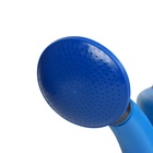 Лейка, 8 л, с рассеивателем, носик d=35 мм, цвет МИКС - Фото 5