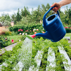 Лейка, 10 л, с рассеивателем, носик d=35 мм, цвет МИКС, «Классика» - Фото 8