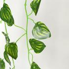 Лиана искусственная «Полосатые листья», 80 см - Фото 2